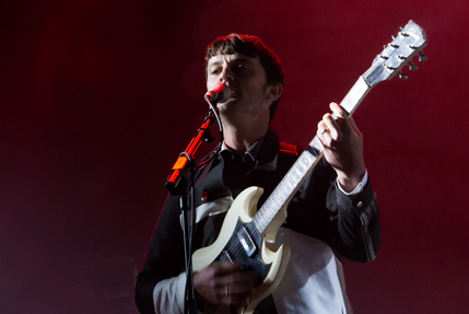 the wombats